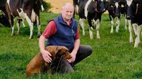 ICMSA say new measures involve all TB burden being lumped onto farmers 
