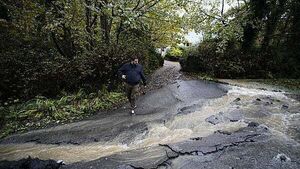 TD calls for new flood forecasts to be made public