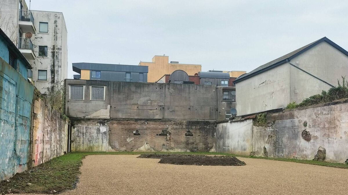 Thomas Street Pocket Park costs raise query