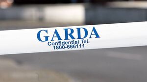 'Terrible weekend' - woman (60s) dies after N25 crash