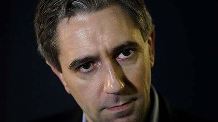 Simon Harris forced to delete AI-generated social post after X-rated blunder