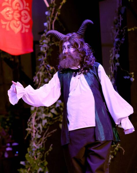 Presentation Secondary School, production of Beauty &amp; the Beast. Photo: Joe Evans
