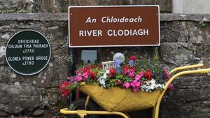 Clonea Power launch biodiversity action plan