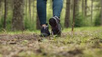 Waterford's first walking week will add a spring to your step this April