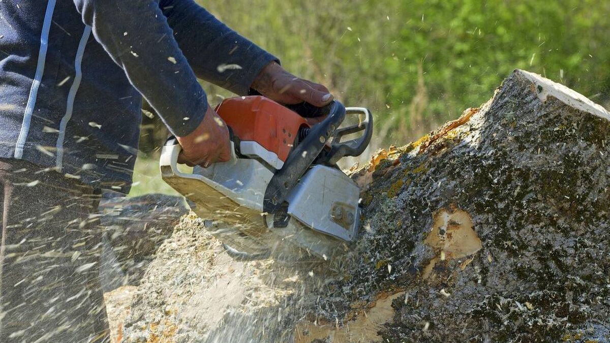 Waterford City road to close for 'emergency tree removal' this weekend