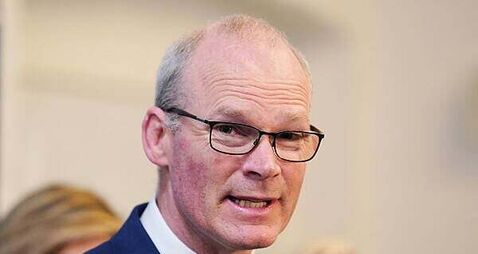 Ex-minister backs calls for government support for firms affected by US tariffs