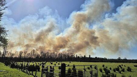 Firefighters tackle almost 150 wildfires across three days in Northern Ireland