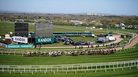 Horse that collapsed after Grand National dies