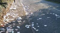 'It's pure criminal' - Councillor calls out 'strategic' littering in Waterford village