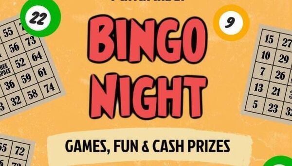 The upcoming bingo session in Ballymacarbry Community Centre will be in support of the Panda Playground Development fund