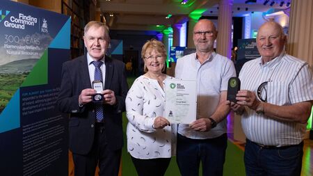 Waterford's Crough Wood wins RDS Community Woodland Award