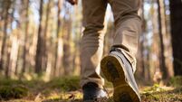 Six-week closure announced for a section of Waterford wood walk 