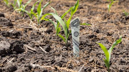 Ifac to host webinar on US tariffs for agribusiness sector