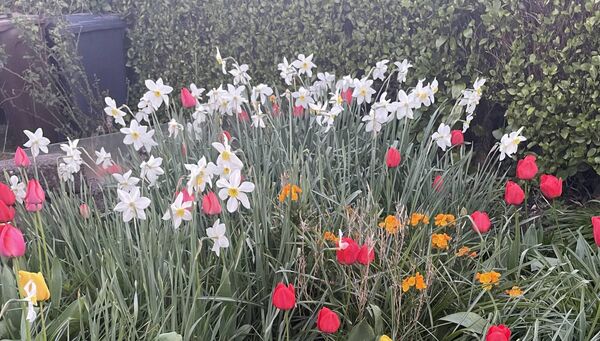 People in Ballyduff are being encouraged to get out and enjoy the fine weather and beautiful transition towards summer. Pic: Linda Spillane