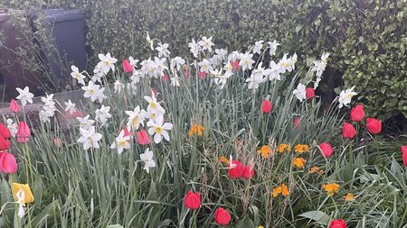 Local Notes: GAA and soccer news, Easter celebration, charity cycle, Confirmation and more