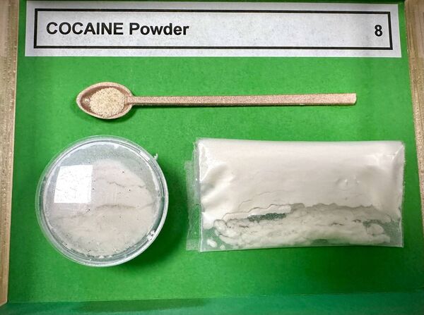 Cocaine powder