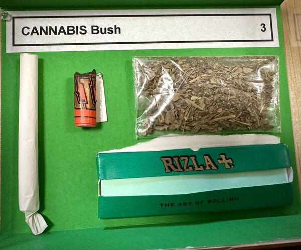Cannabis