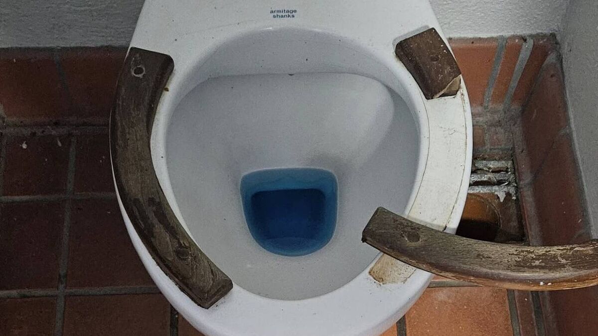 Timber toilet seats and more 'a bit of an embarrassment' to beautiful County Waterford town