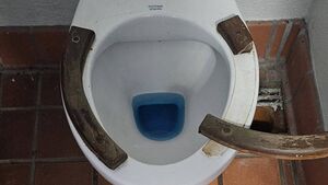 Timber toilet seats and more 'a bit of an embarrassment' to beautiful County Waterford town