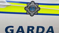 Man (20s) charged in connection with robbery in Bray