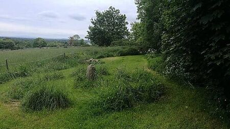 Tales from Irish folklore: What are fairy forts?