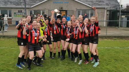 Codd’s golden brace wins the final for Bohs