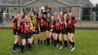 Codd’s golden brace wins the final for Bohs 