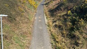 Meeting for new greenway mural to take place in Ferrybank 