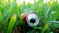 Almost 100km of roadside rubbish collected in Waterford village 