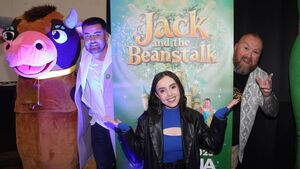 Professional panto coming to Waterford!