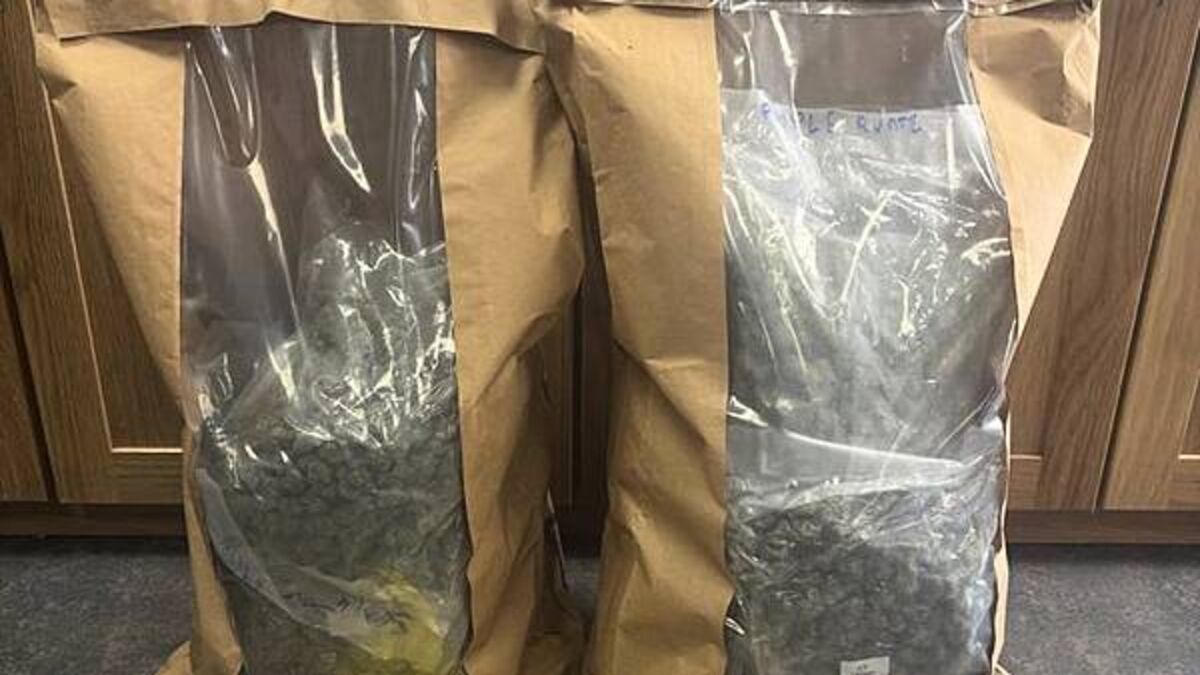 Two men charged after drug seizures in Co Louth