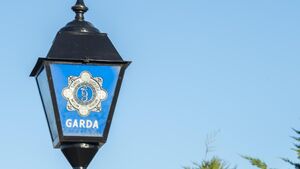 Gardaí in Waterford are investigating a theft from a parked car