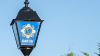 Gardaí in Waterford are investigating a theft from a parked car