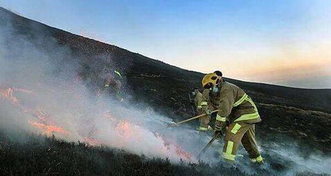 Forest fire warning issued as dry weather set to continue into bank holiday