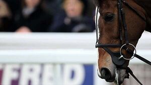 Man who took racehorse is 'perilously' close to being jailed if he does not return it