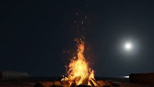 Waterford Council say enjoy the weather but don't start fires this bank holiday weekend Waterford Council say enjoy the weather but don't start fires this bank holiday weekend