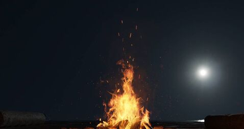 Waterford Council say enjoy the weather but don't start fires this bank holiday weekend