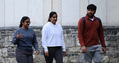 'Ambitious’ software engineers admit €3,500 Ikea theft spree
