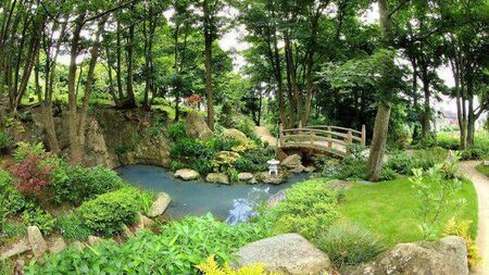 Don’t miss Tramore’s Japanese Gardens on Nationwide tonight