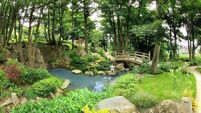 Don’t miss Tramore’s Japanese Gardens on Nationwide tonight