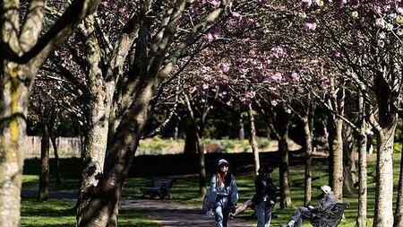 Ireland sets all-time daily max temperature record of 25.9 degrees in April
