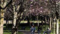 Ireland sets all-time daily max temperature record of 25.9 degrees in April