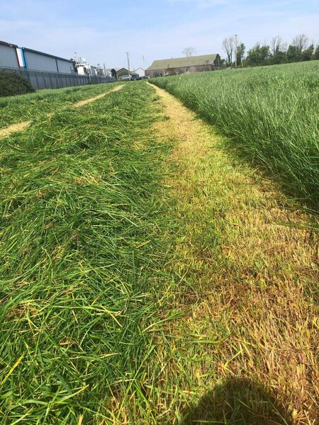 Beef finishing or weanling systems and winter milk systems  need excellent quality silage to avoid unnecessary meal feeding in order to maximise animal performance.