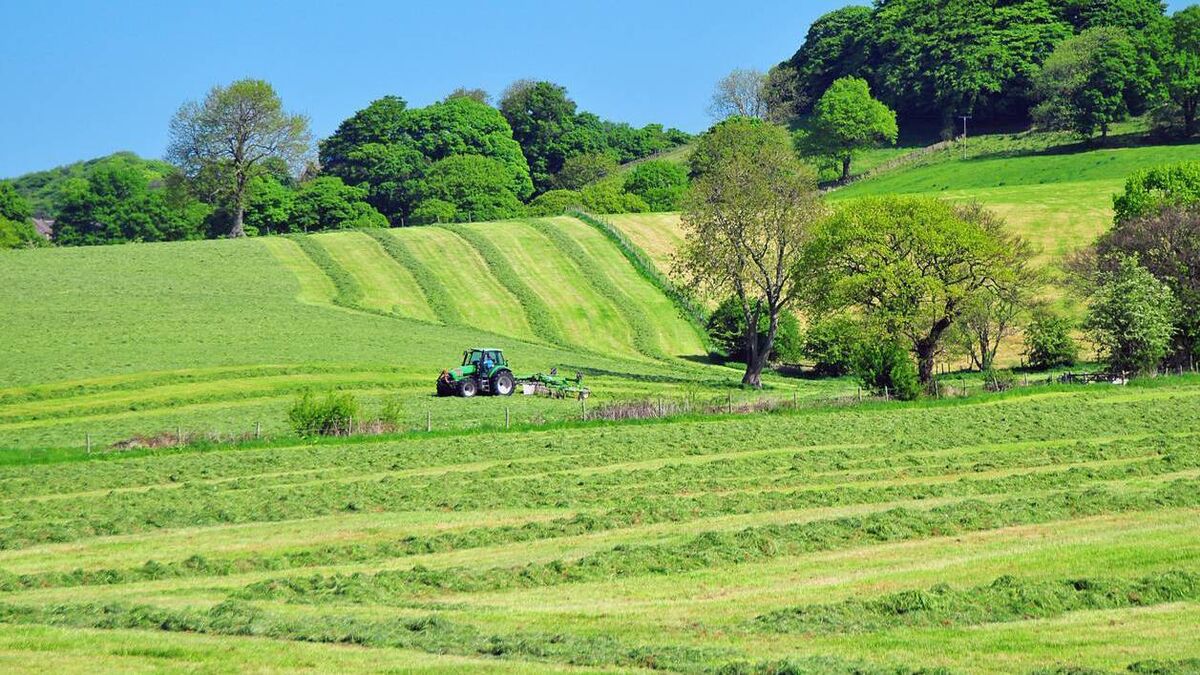 Farming: The time for high-performing silage is now
