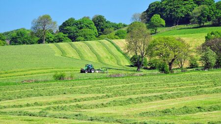 Farming: The time for high-performing silage is now