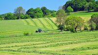Farming: The time for high-performing silage is now