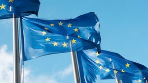 'United in Diversity' in celebration of Europe Day in Waterford 