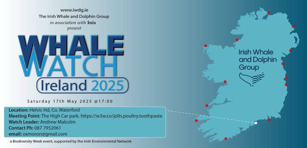 Whale Watch 2025 Waterford event details