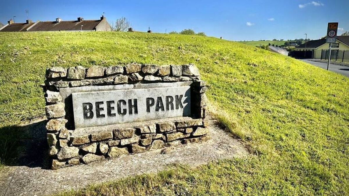 Gardaí investigate assault in Tramore involving male teenagers