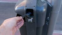 Waterford Council spent €63,000 on 1.6 million dog waste bags in 2023
